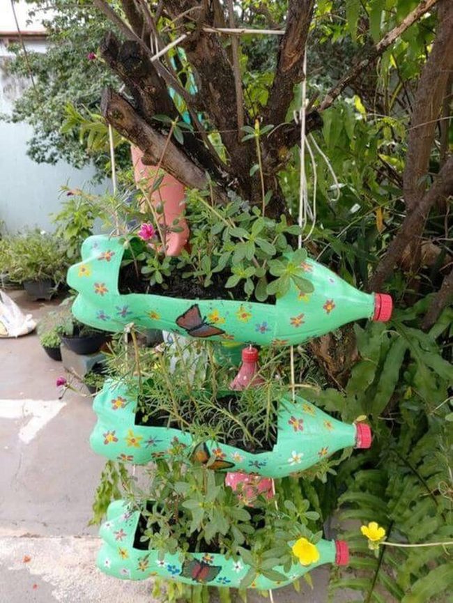 Vertical Bottle Gardens