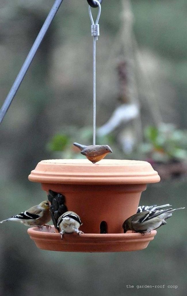 Terracotta Bird Feeder Station
