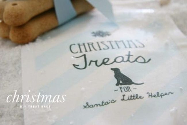 Homemade Dog Treats, Pure Love