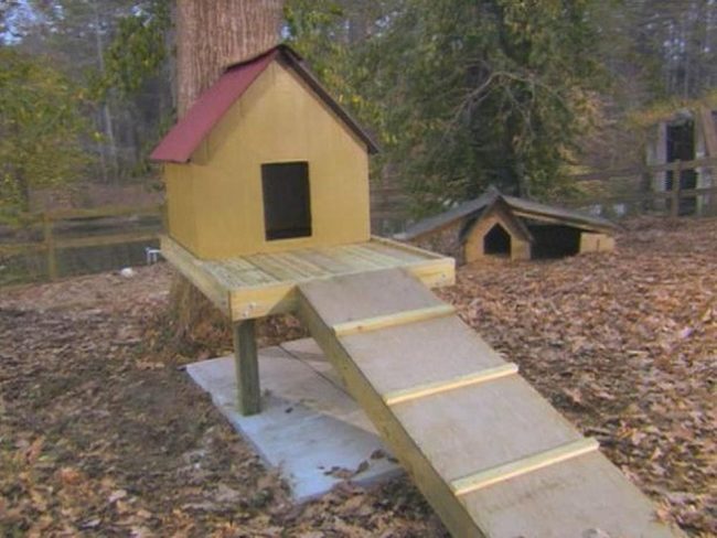 Yellow Tree Platform Hideaway