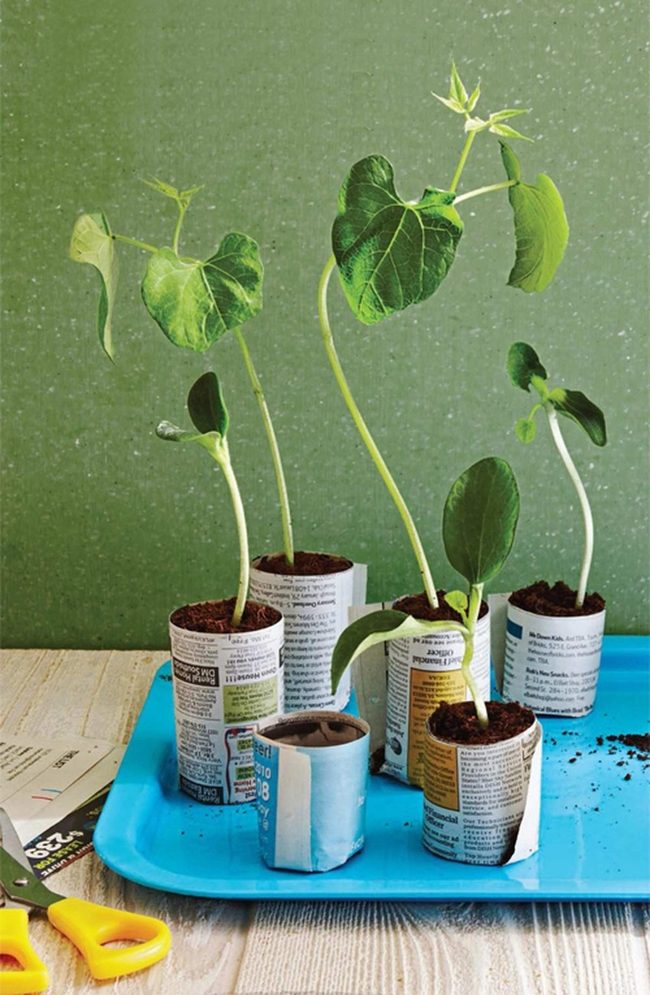 Newspaper Pots, Green Growing Space