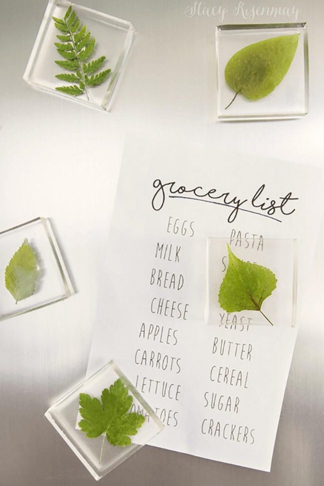Resin-Preserved Leaf Magnets