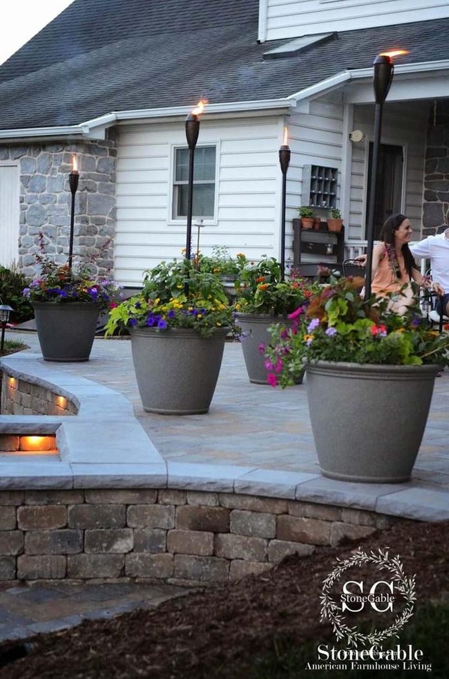 Potted Flowers With Firelight