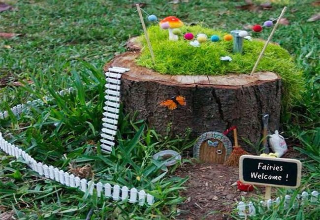 Miniature Stump Fairyland