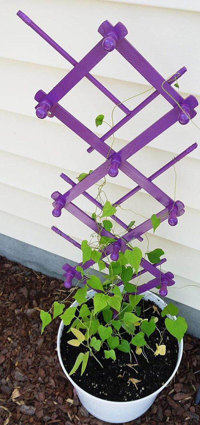 Painted Metal Plant Trellis