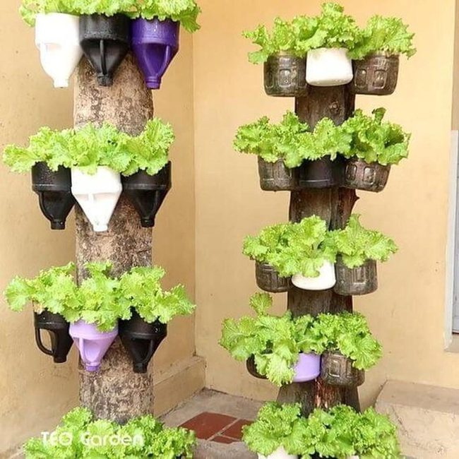 Cascading Greens In Recycled Bottles
