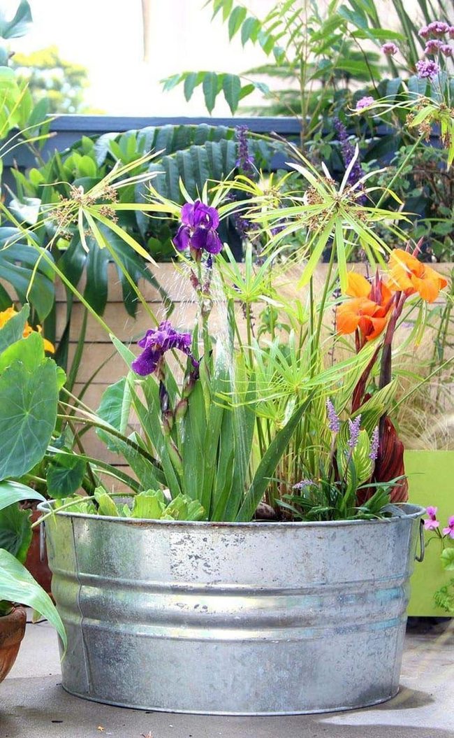 Solar Water Flower Garden