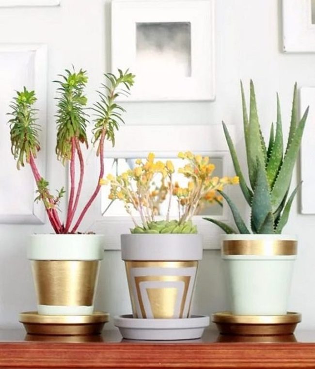 Gold Leaf Terracotta Pots