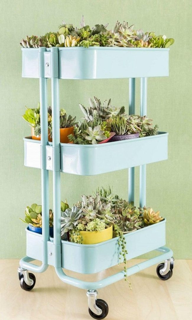 Blue Metal Succulent Cart