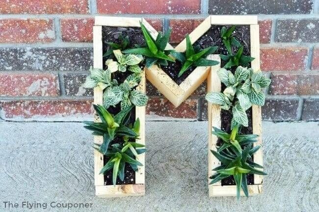 Wooden M-Shaped Plant Display