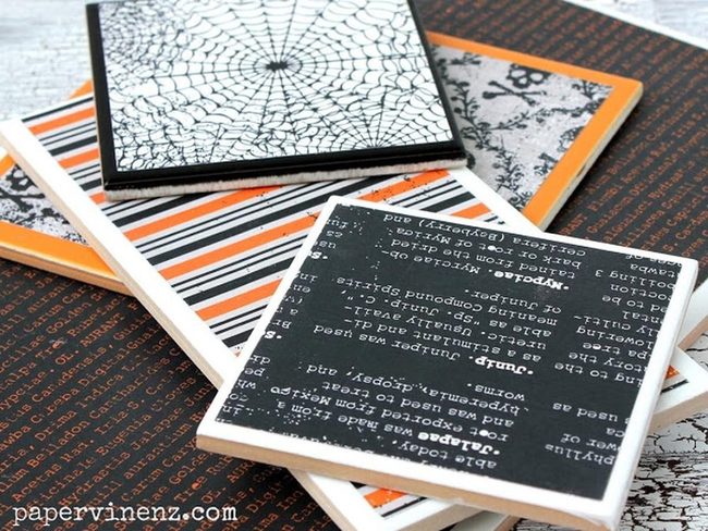 Black Orange Spider Webs