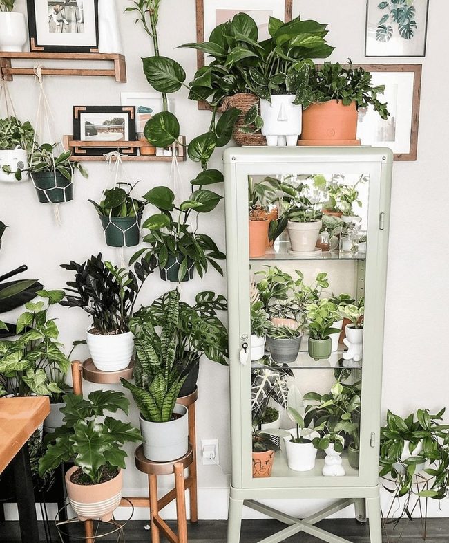 Clay Pots Transform Plant Display