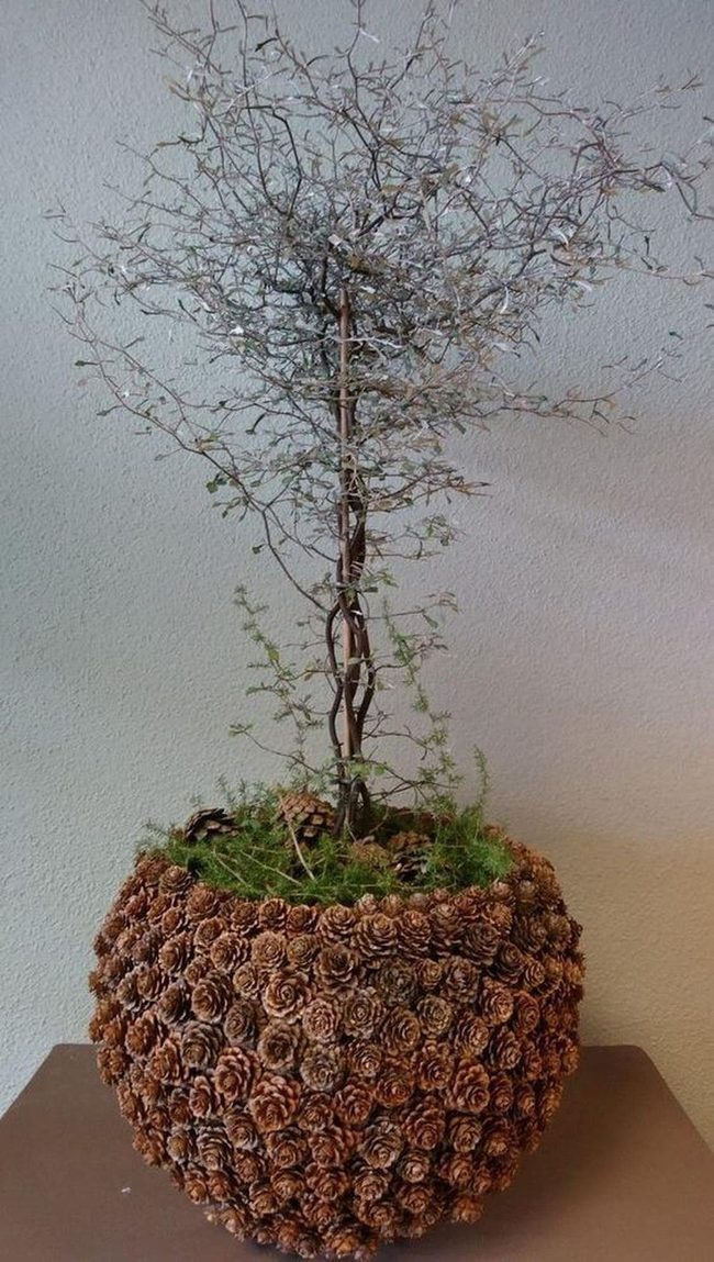Brown Pine Cone Centerpiece