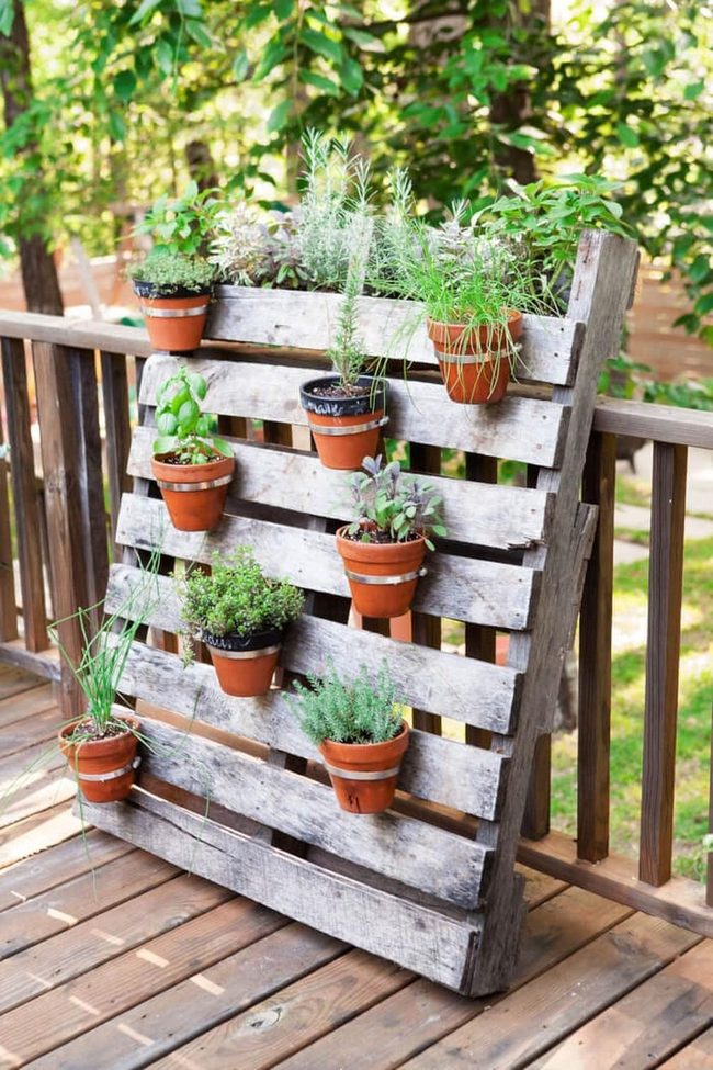Wooden Pallets, Fresh Herbs Garden