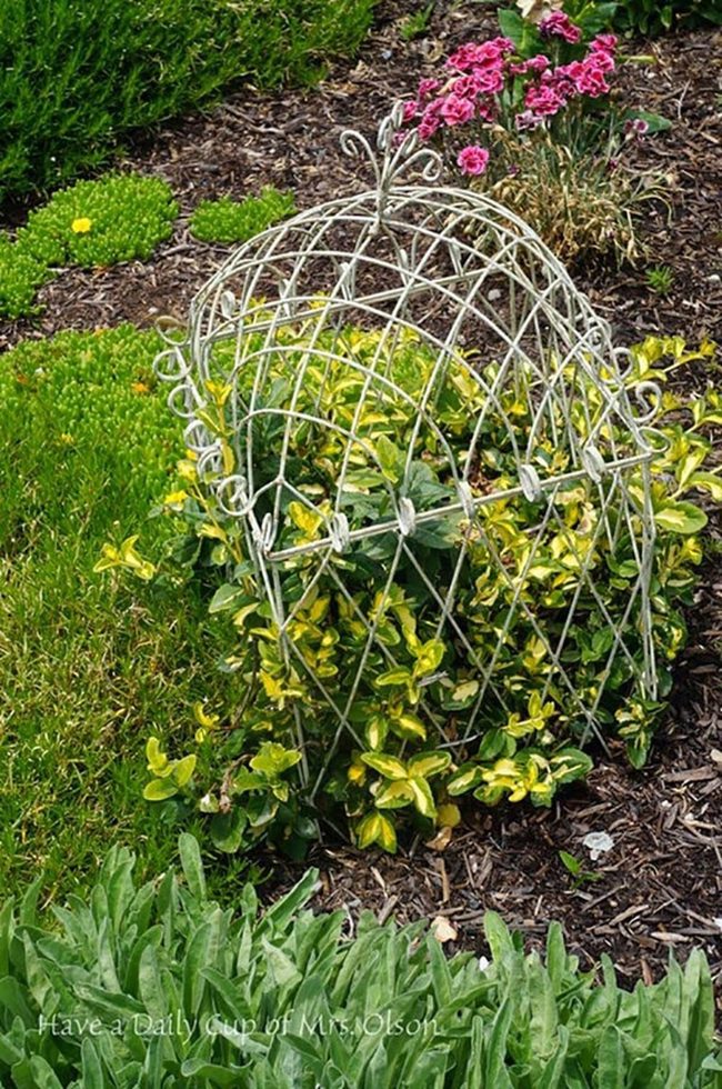 Living Metal Sculpture Garden