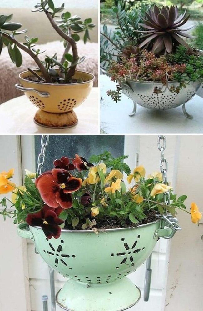 Colanders As Hanging Planters