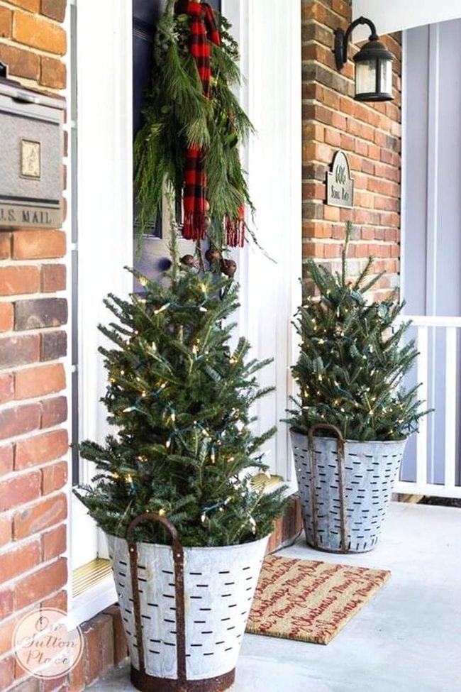 Evergreen Planters For Doorways
