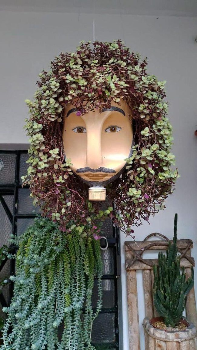 Face Planter With Cascading Vines