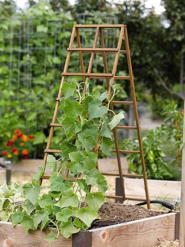 Green Ladder Vertical Garden