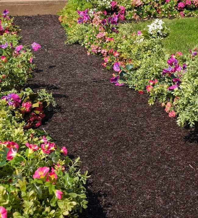 Dark Mulch Garden Pathways