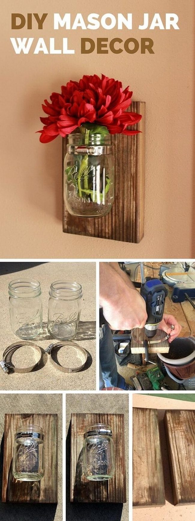 Glass Jars, Living Walls