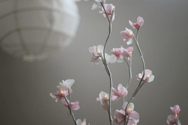 Pink Blossoms, Soft Lantern Light