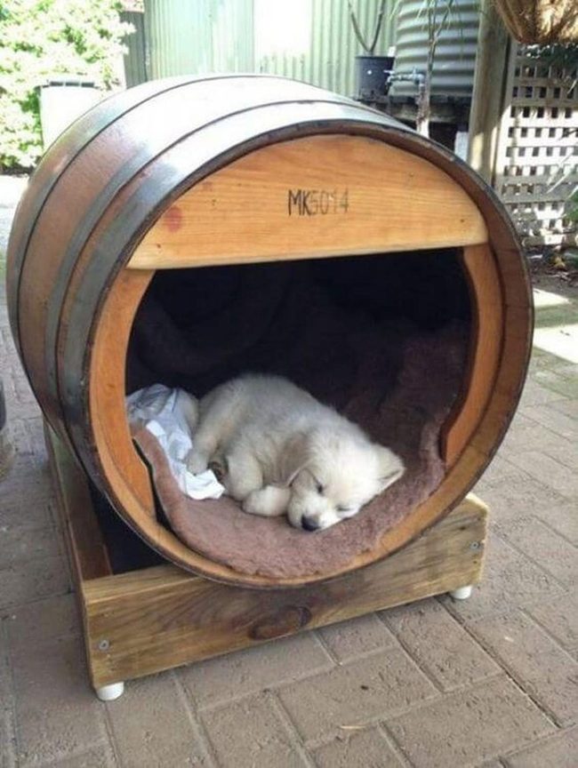 Wooden Barrel Pet Retreat