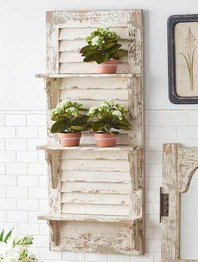 Peeling Wood Meets Living Green