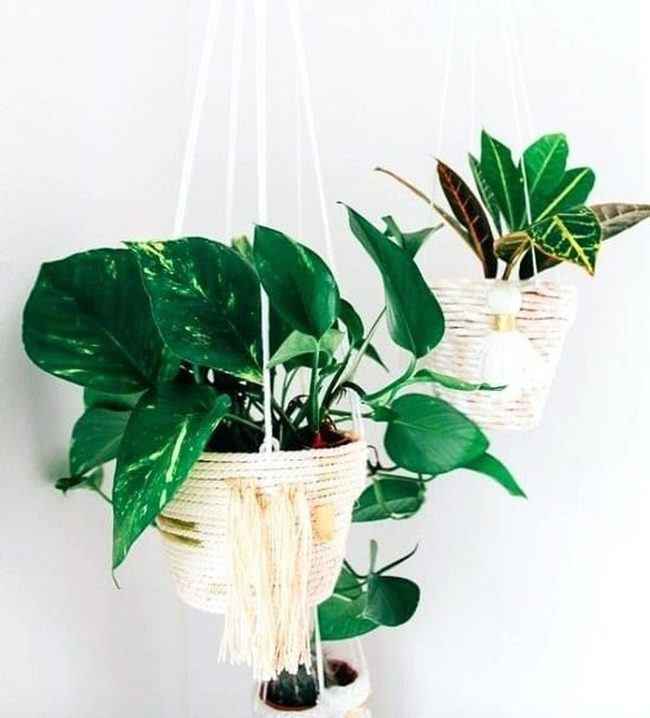 Rope-Wrapped Hanging Gardens