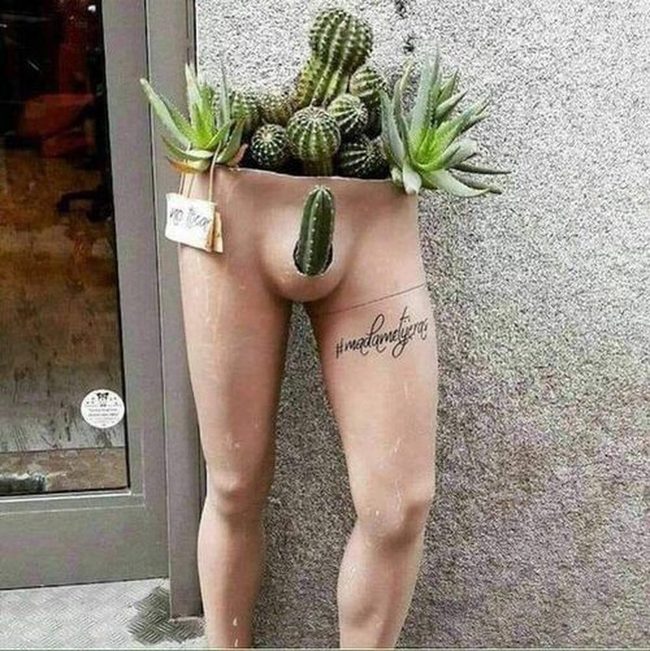 Leather Boots Desert Greenery