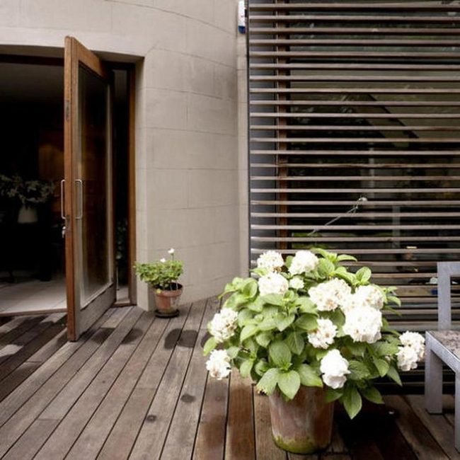 Wood Garden Retreat