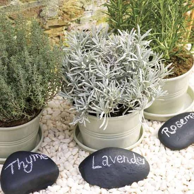 Green Herbs, White Ceramic Simplicity