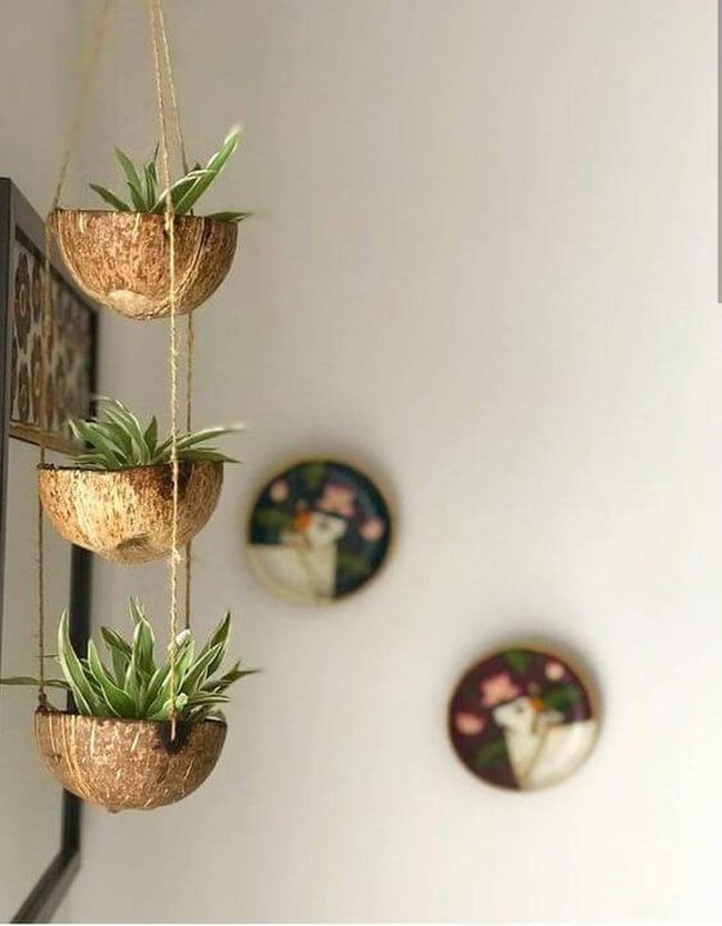 Coconut Shell Trio Planter