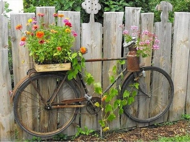 Old Bikes, Blooming Walls