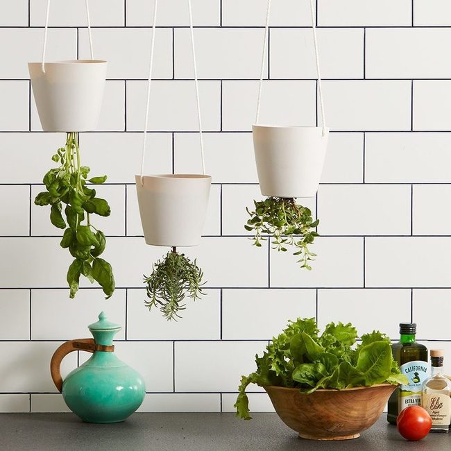 Cascading Herbs From Above