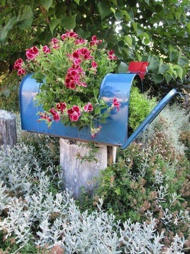 Deep Blue Mailbox Red Flowers