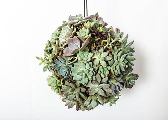 Diy Concrete Garden Spheres