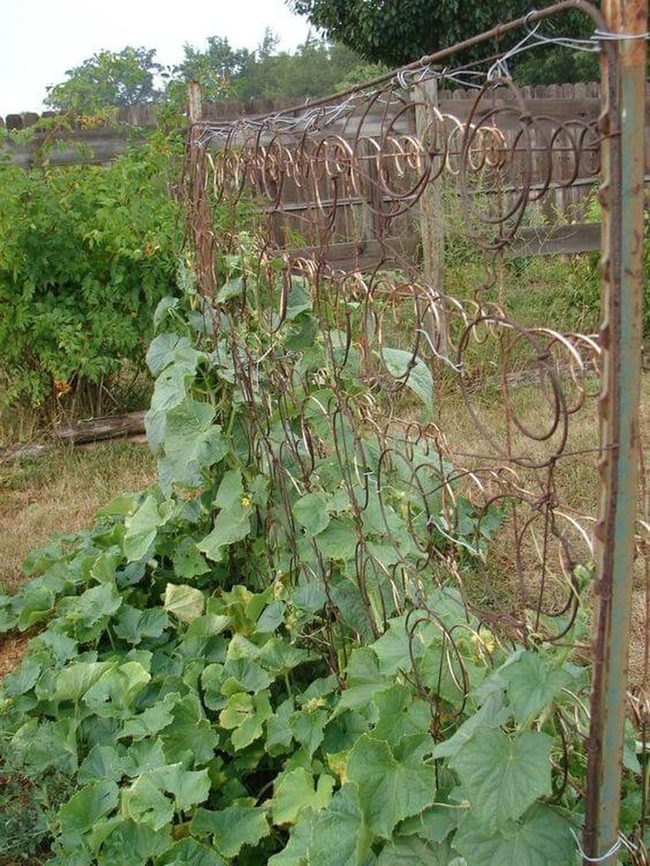 Living Green Wire Structure