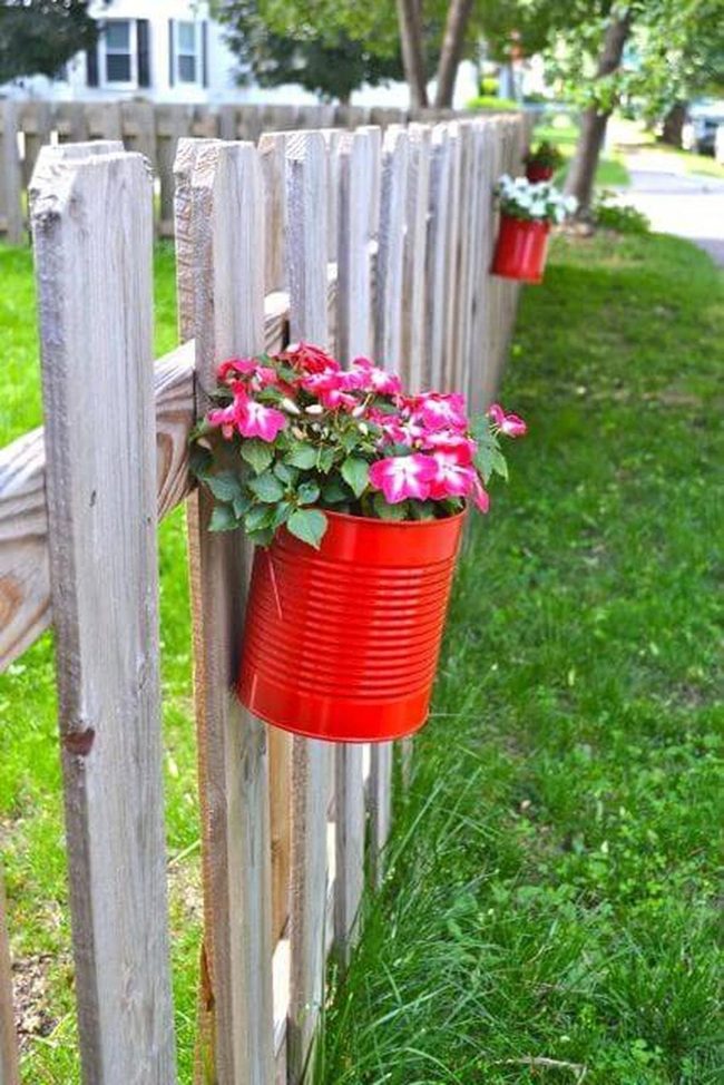 Red Bucket Flower Wall