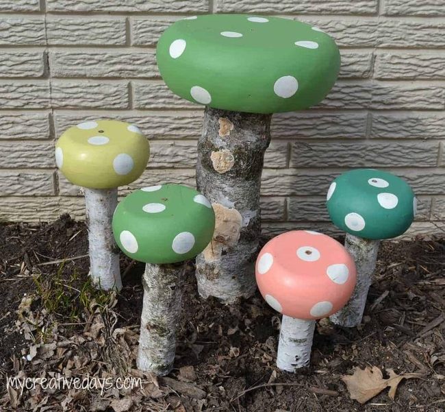 Spotted Bowl Mushrooms