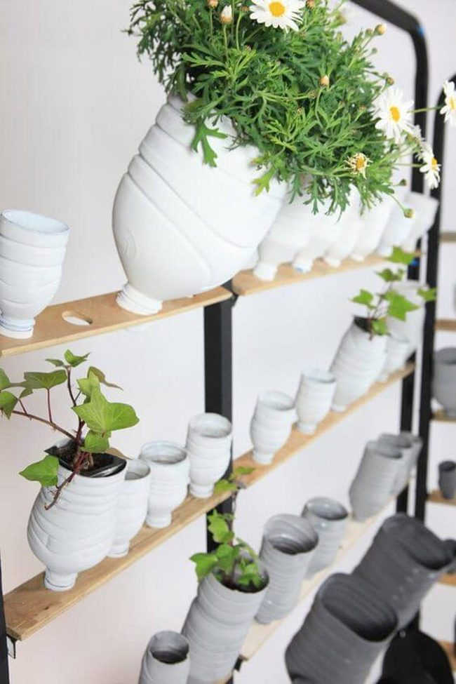 White Grooved Bottles, Living Green