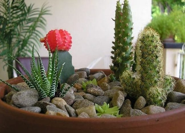 Miniature Desert Landscapes In Ceramic