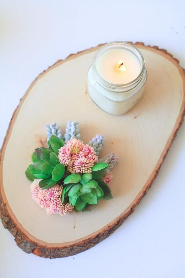 Wooden Slices With Bright Succulents