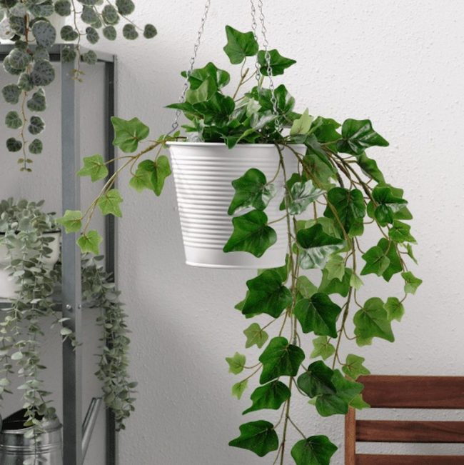 White Hanging Planters Budget Solution