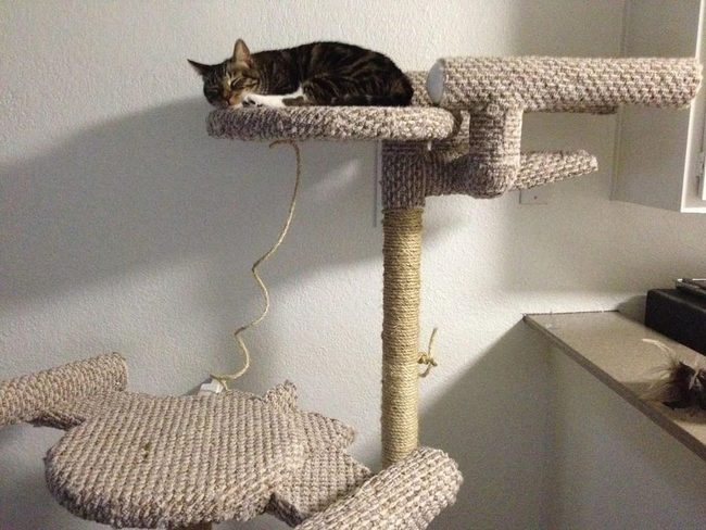 Vertical Sisal Cat Kingdom