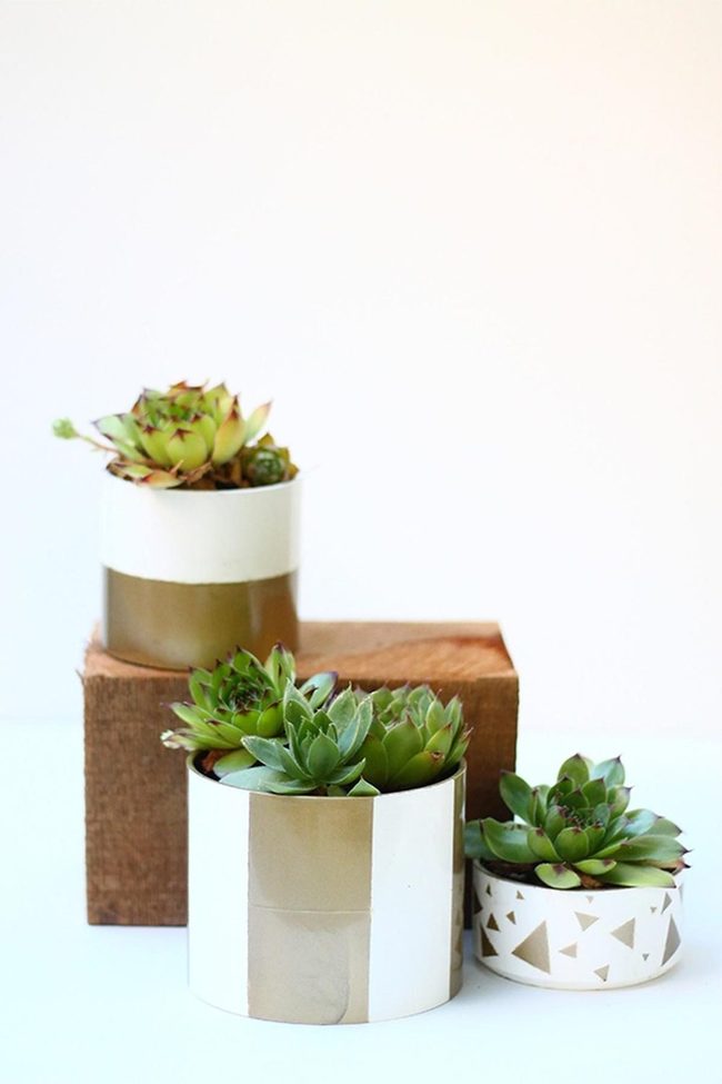 Golden Ceramic Succulents