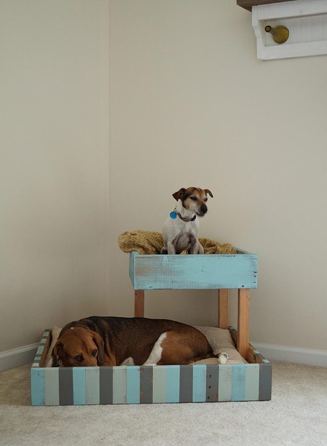 Blue Gray Wooden Dog Bed