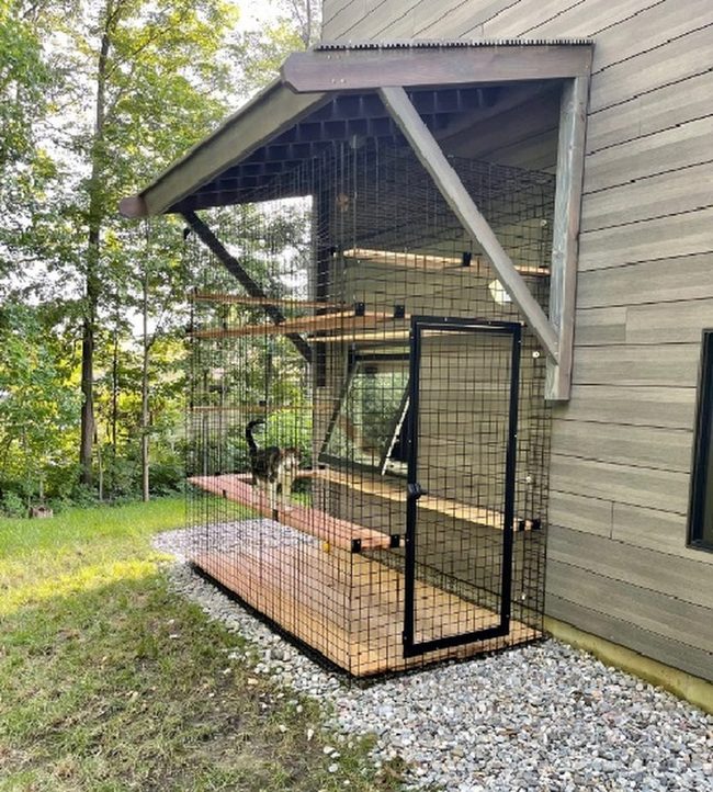 Mesh-Roofed Feline Retreat