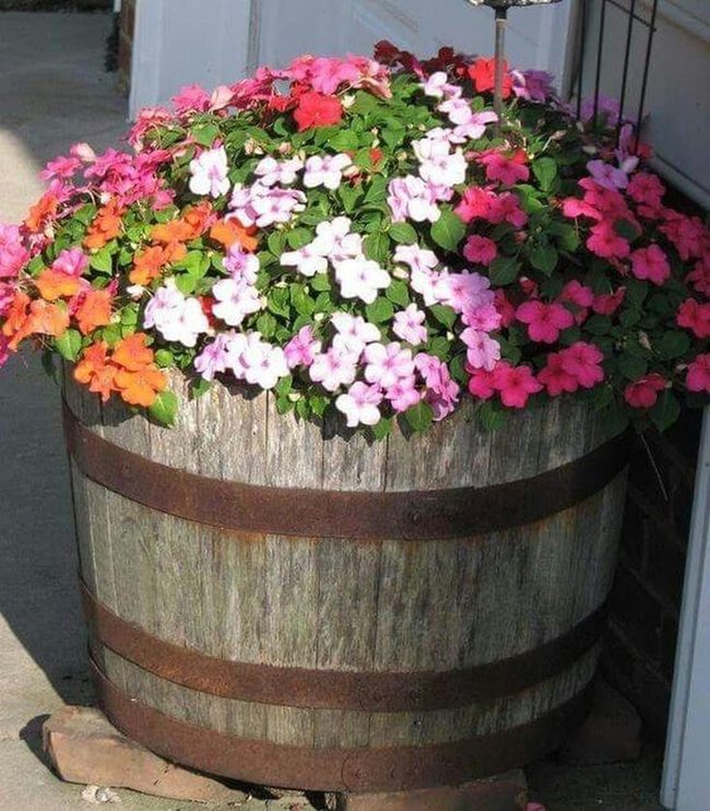 Barrel Blooms Pink Cascade