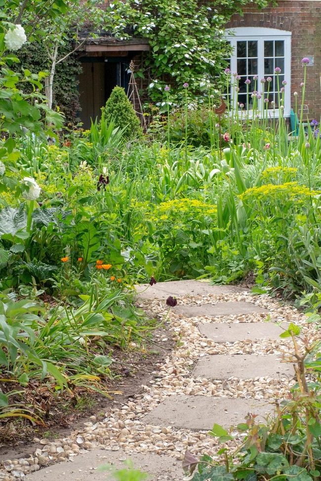 Concrete Path, Shimmering Shells